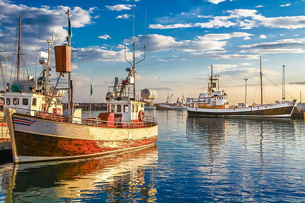 AI Implementation in an Icelandic Fish Sales Company